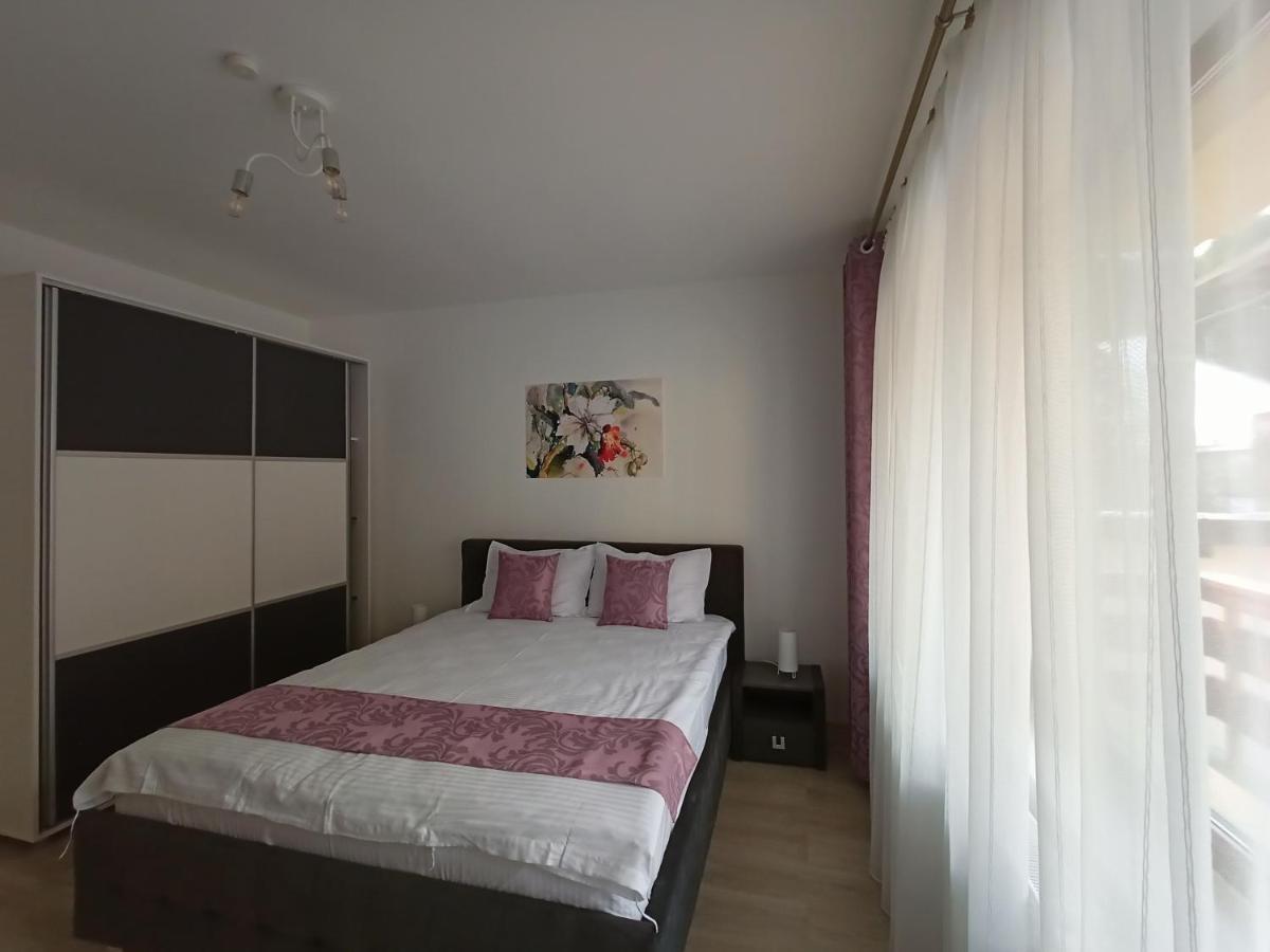 Apartament Eric, Buşteni エクステリア 写真