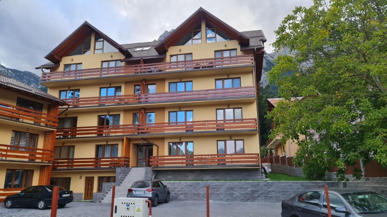 Apartament Eric, Buşteni エクステリア 写真
