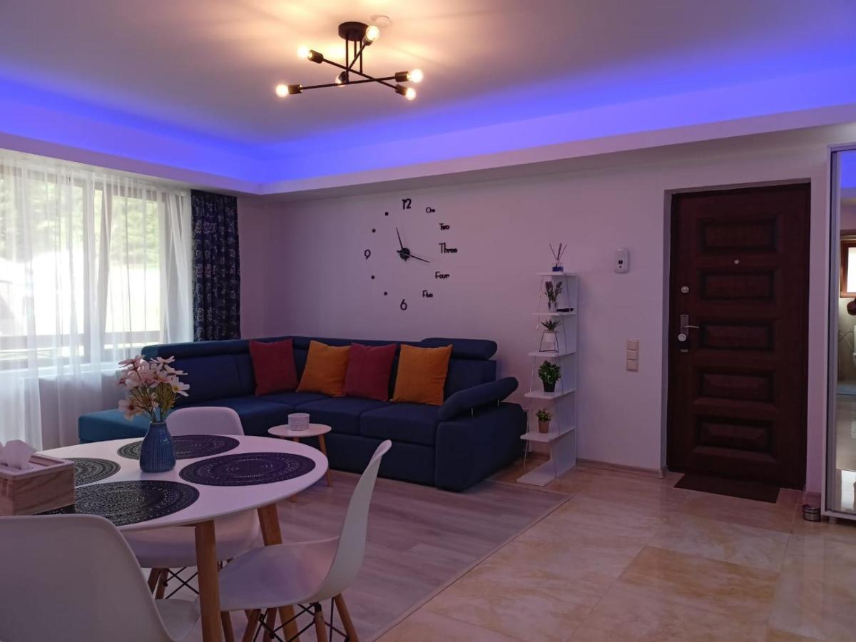 Apartament Eric, Buşteni エクステリア 写真